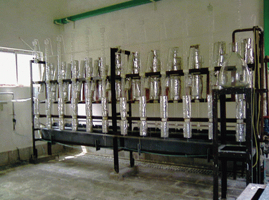 ��Ӽ�37%���}�ᣨEL����