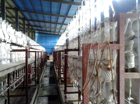 ԇ���������ᣨH2SO4��